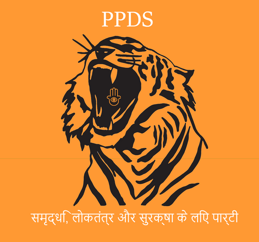 Logo PPDS Small.png